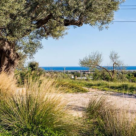 Quinta Da Baleeira Villa Тавира Екстериор снимка